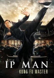 Ip Man Kung Fu Master D