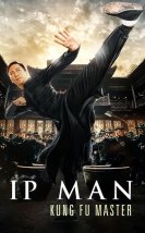 Ip Man Kung Fu Master D